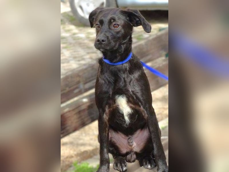 ARTHUR ist sehr lieb