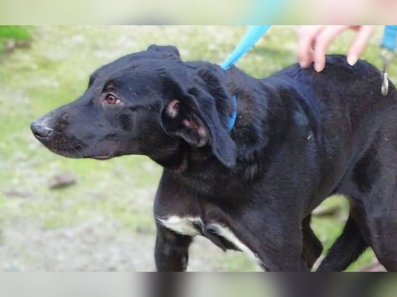 LULU wäre so gerne Teil einer Familie