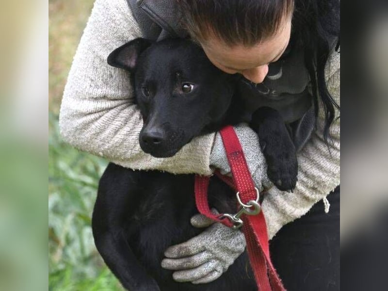 OLI braucht eine eigene Familie