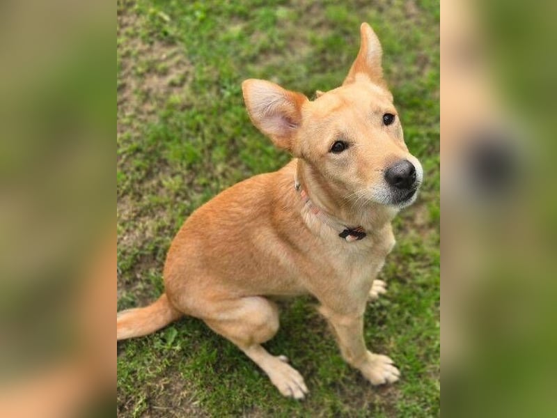 BONI ist sehr liebevoll