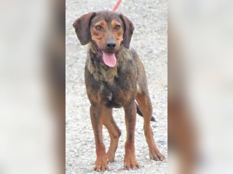 DONNIE braucht Lebensretter