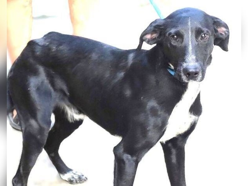 JEFF 2 hat Angst, wer rettet ihn?