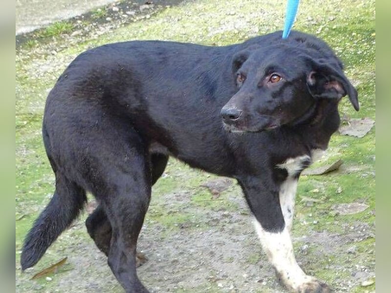 LULU wäre so gerne Teil einer Familie