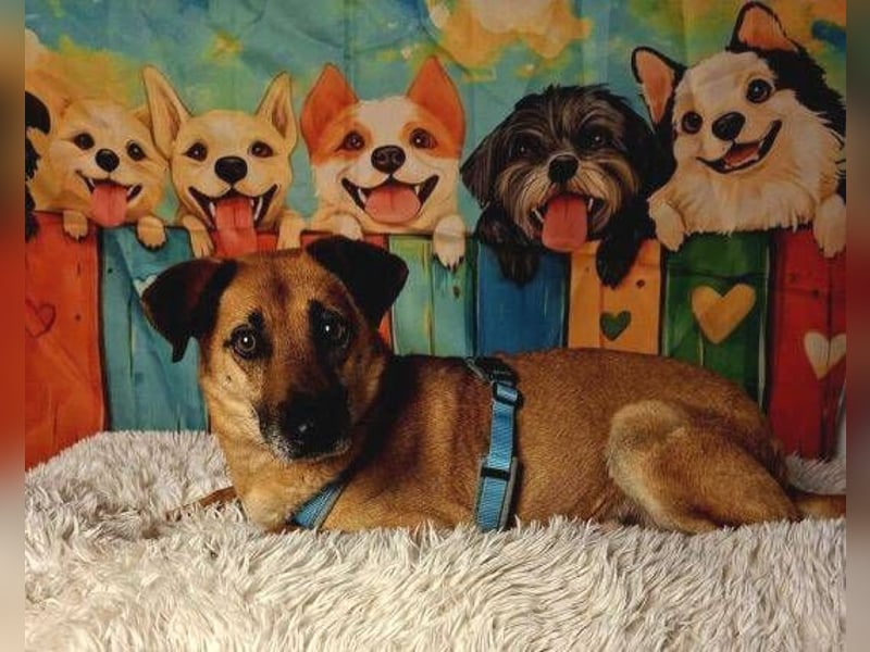 ROXY ist ein super Begleiter
