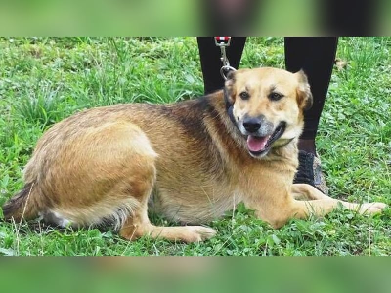 STELLA 2 ist sehr verschmust