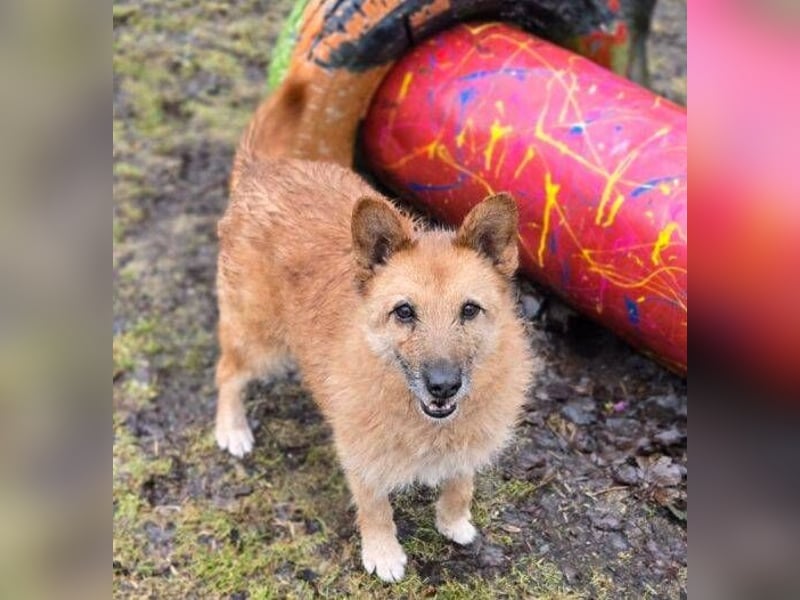 ELZA 2 ist super nett und freundlich