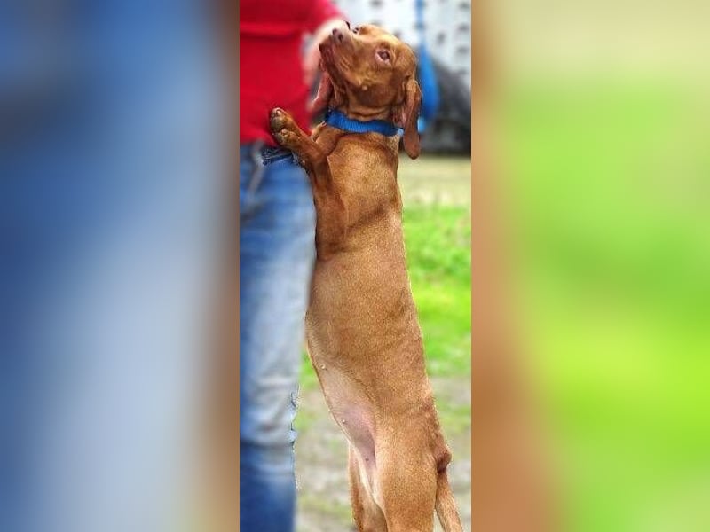 KERRY zittert um ihr Leben