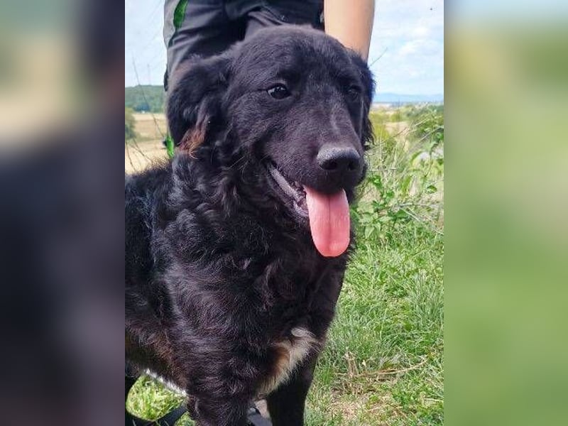 ALVARO war einsam und verlassen