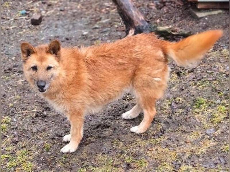 ELZA 2 ist super nett und freundlich