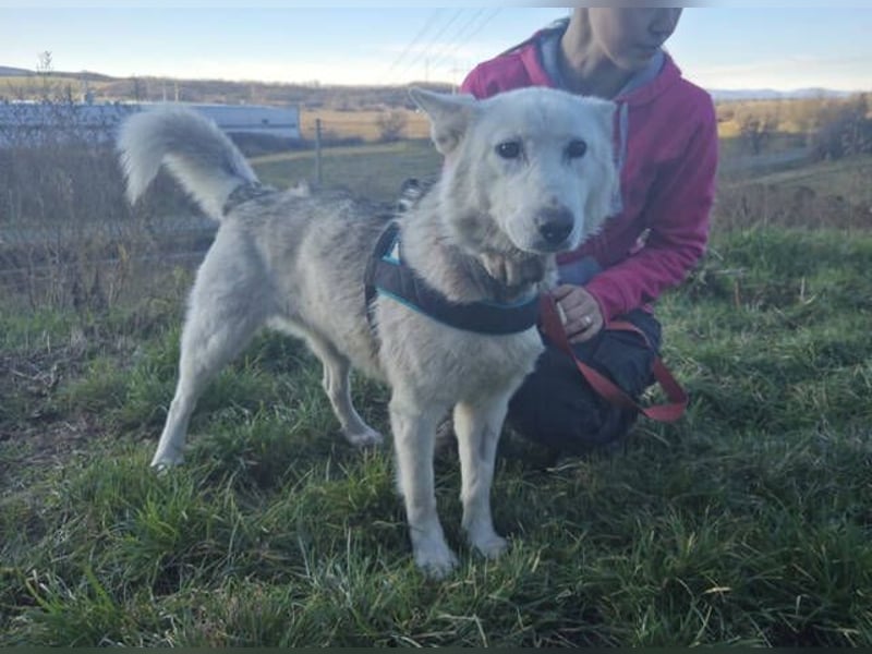 ADRIENA ist verspielt und freundlich