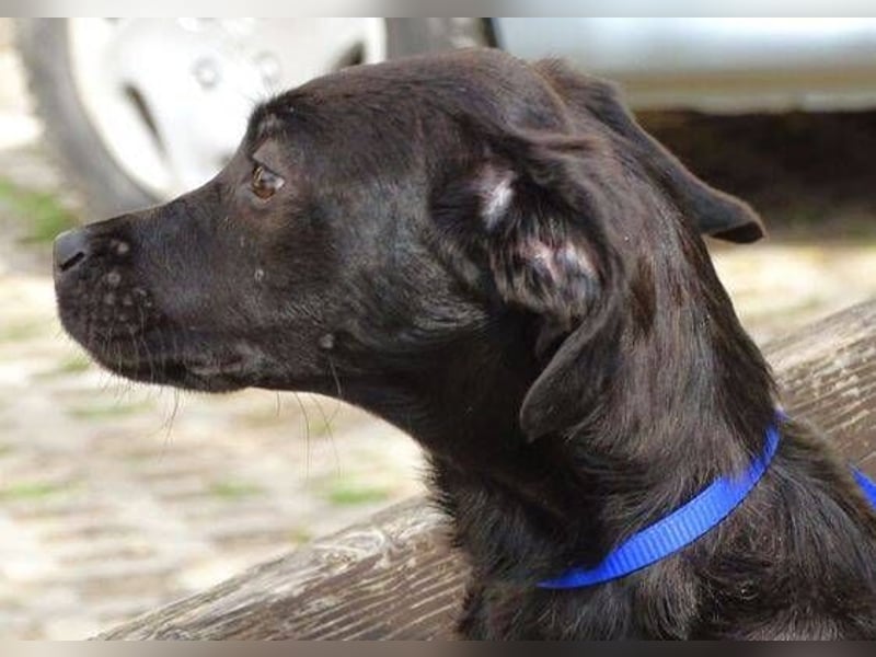 ARTHUR ist sehr lieb