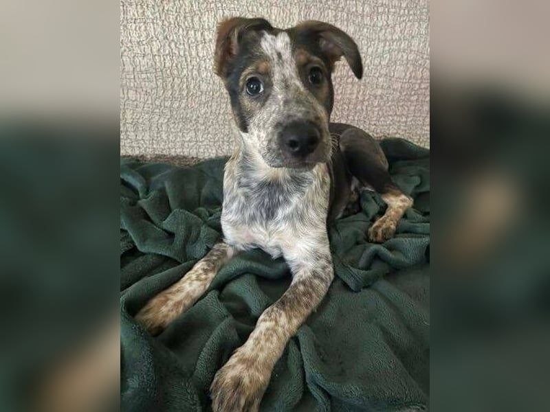 DENY wurde verlassen gefunden