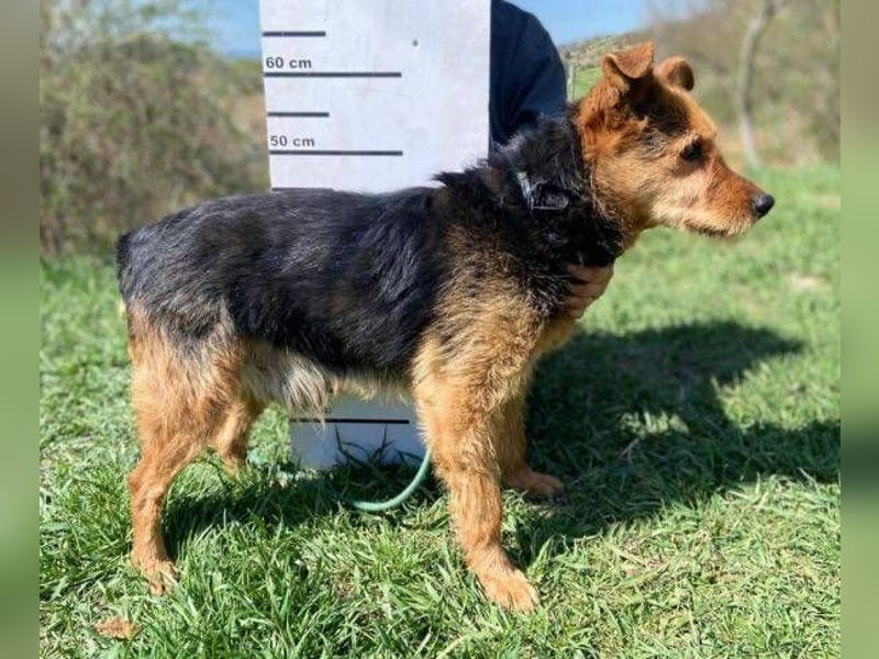 MILLI , wer zeigt ihr wie schön das Leben sein kann.?