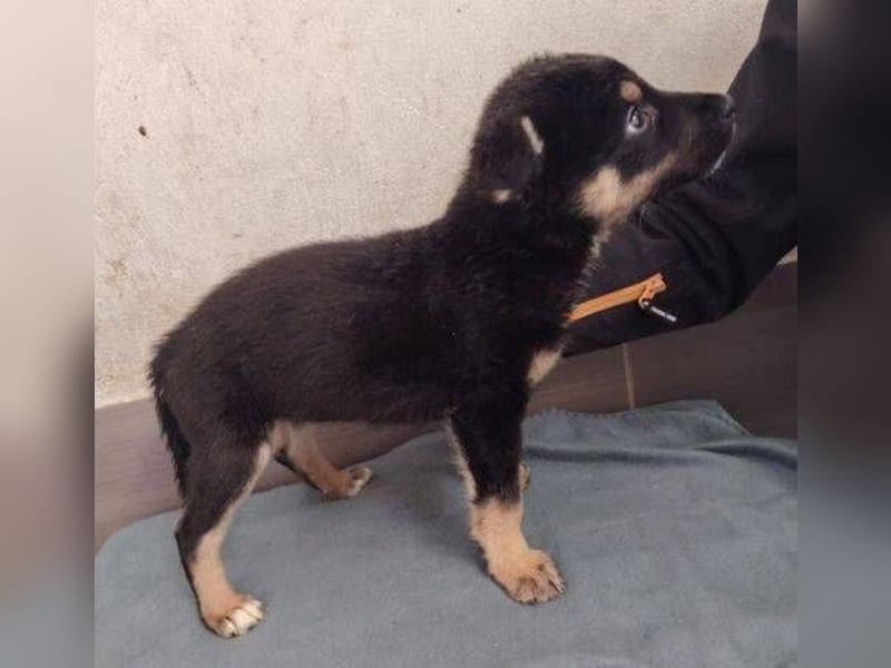 NATHAN das Baby wurde herzlos ausgesetzt