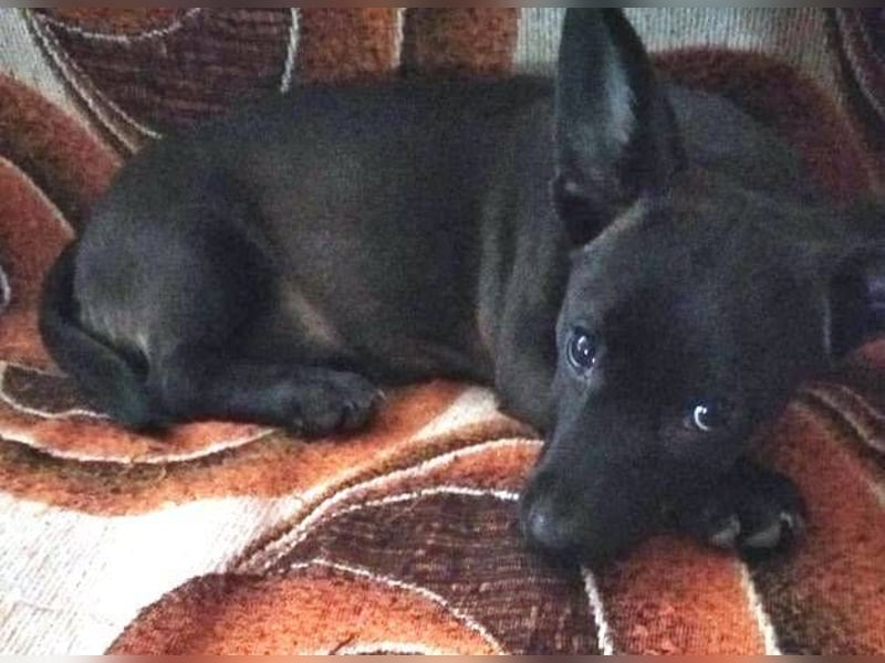 NINA 2 ist ei  Schnuckelchen