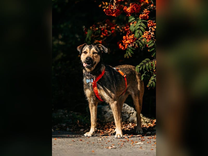 Tolle Bulotschka sucht ihre Menschen