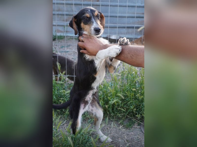 Hero - kleiner Held sucht dich!