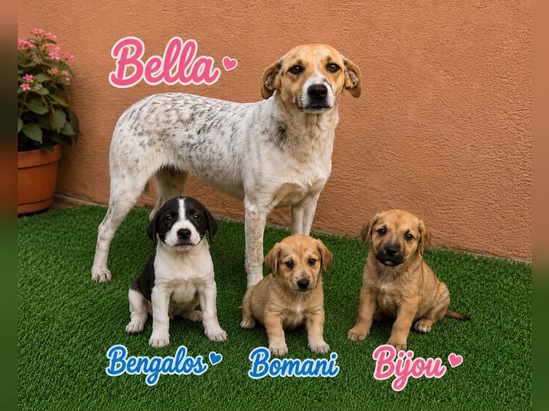 Bella - tolle Mama sucht ihr Happy End!