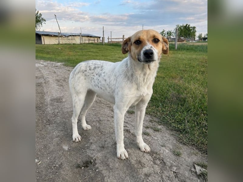 Bella - tolle Mama sucht ihr Happy End!