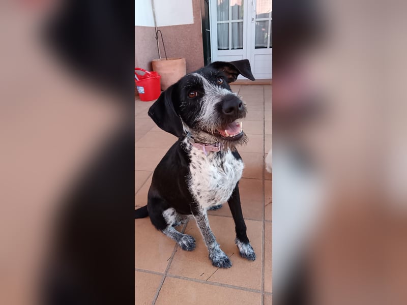 Frida