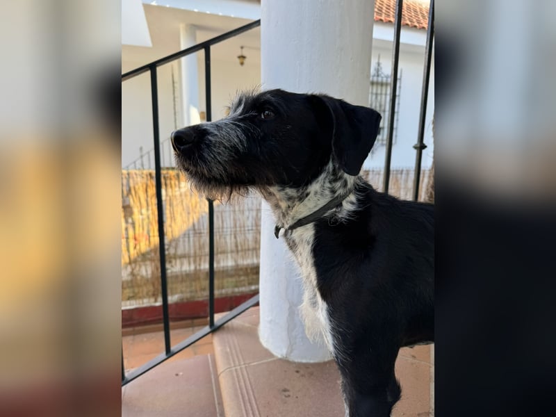 Frida
