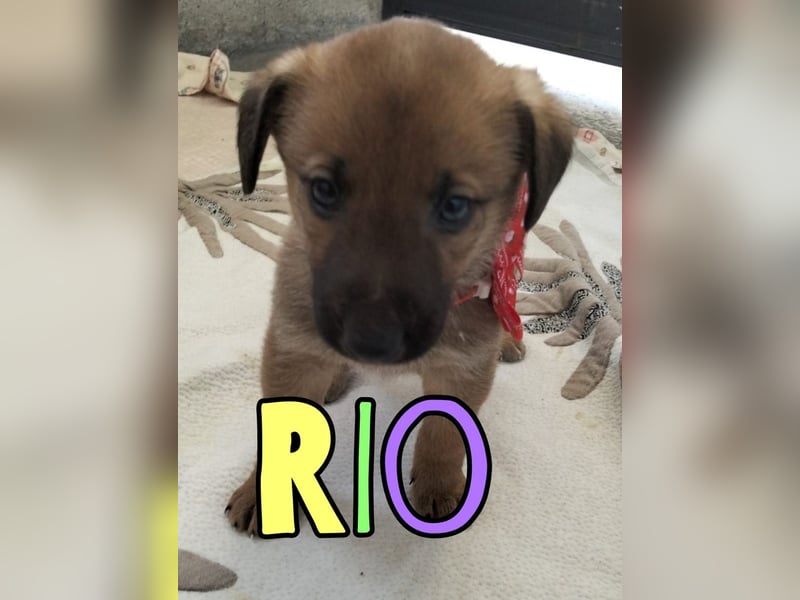 Rio