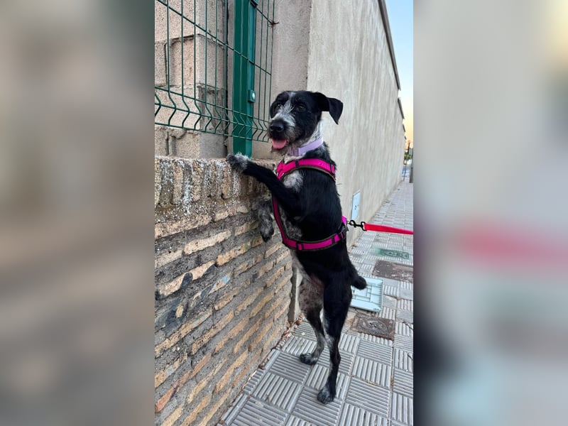 Frida
