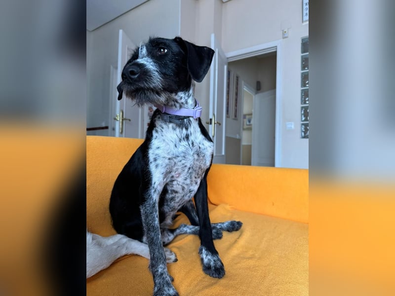 Frida