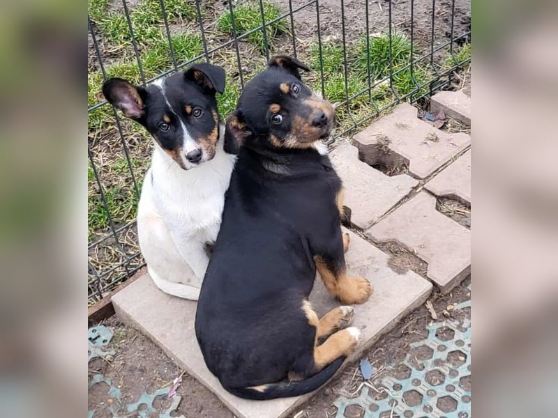 GEO *bei unserer Pflegestelle in 88167 Gestratz*