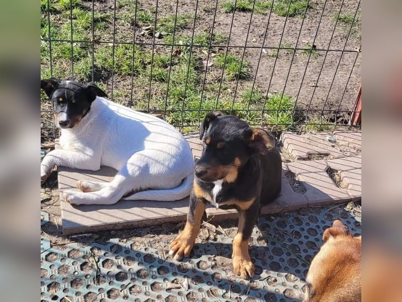 GEO *bei unserer Pflegestelle in 88167 Gestratz*