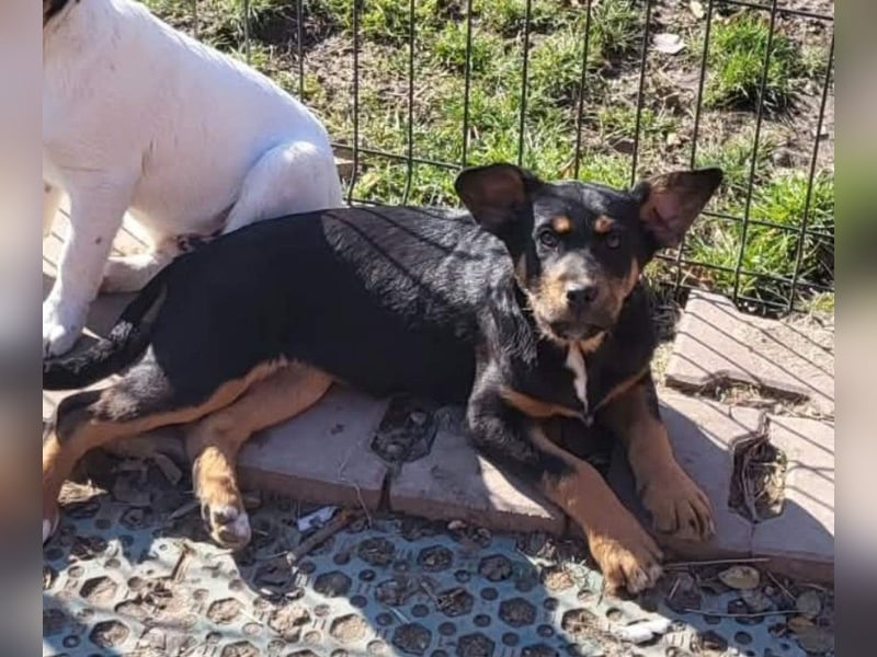 GEO *bei unserer Pflegestelle in 88167 Gestratz*