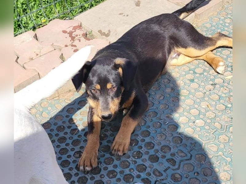 GEO *bei unserer Pflegestelle in 88167 Gestratz*