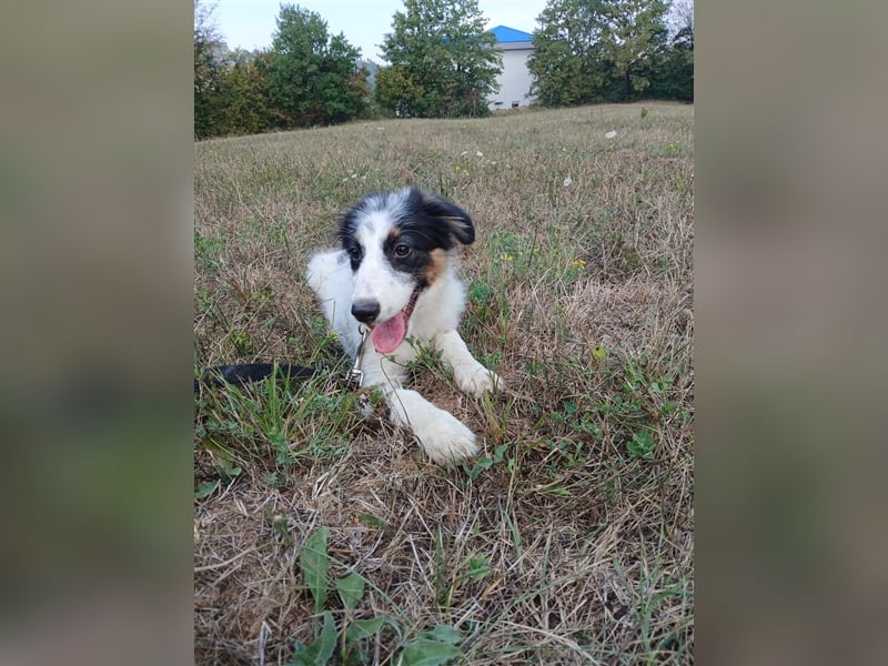 Lisa - zartes Mädchen