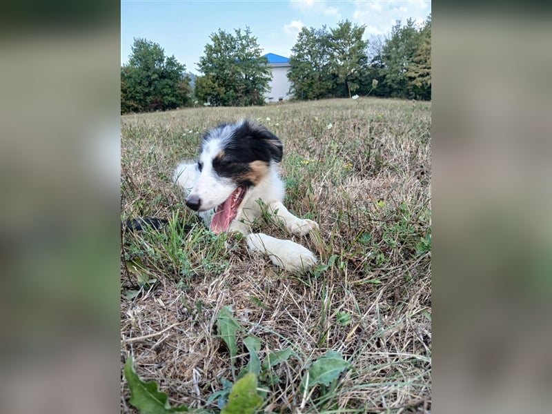 Lisa - zartes Mädchen