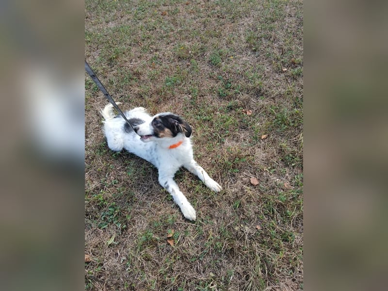 Lisa - zartes Mädchen