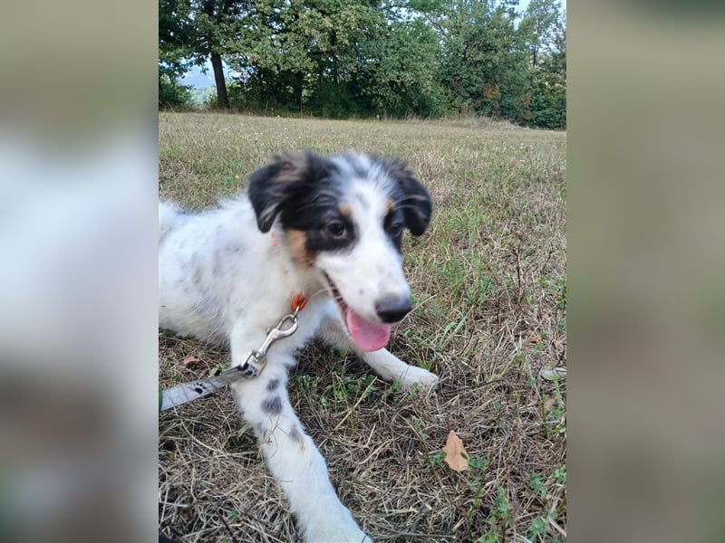 Lisa - zartes Mädchen