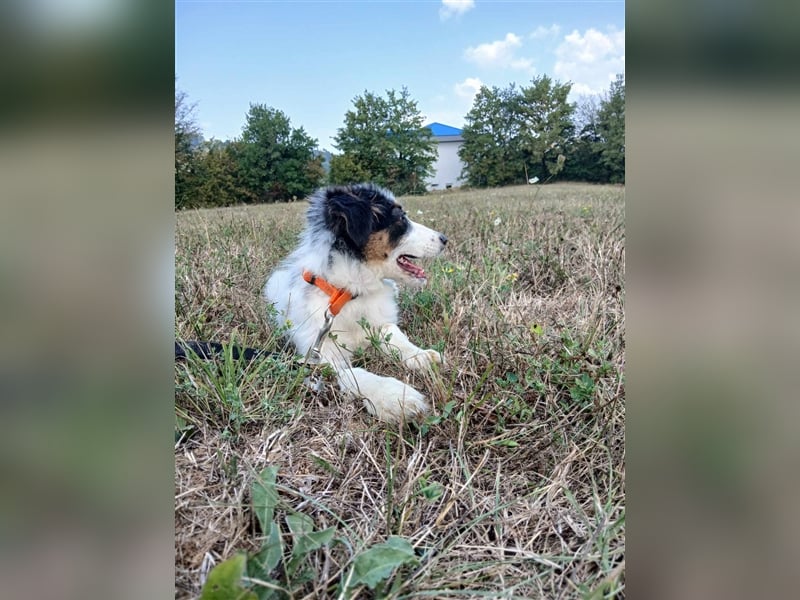 Lisa - zartes Mädchen