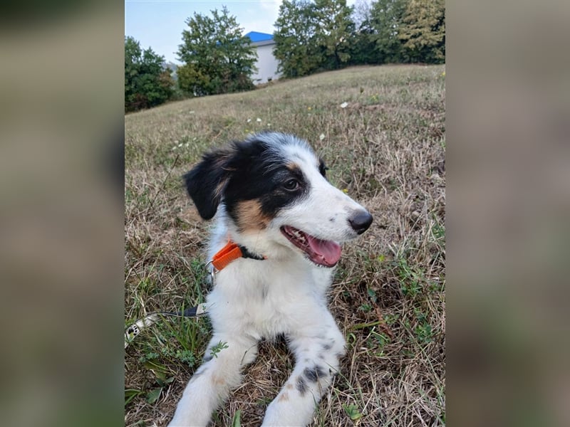 Lisa - zartes Mädchen