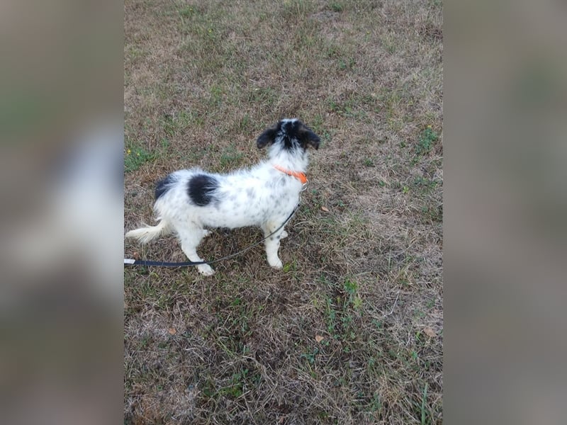 Lisa - zartes Mädchen