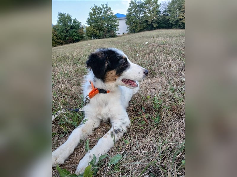 Lisa - zartes Mädchen