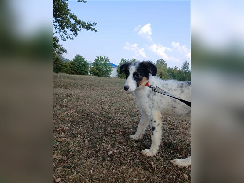 Lisa - zartes Mädchen