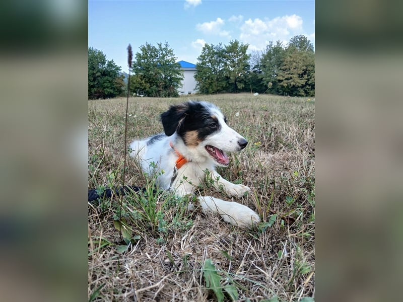 Lisa - zartes Mädchen