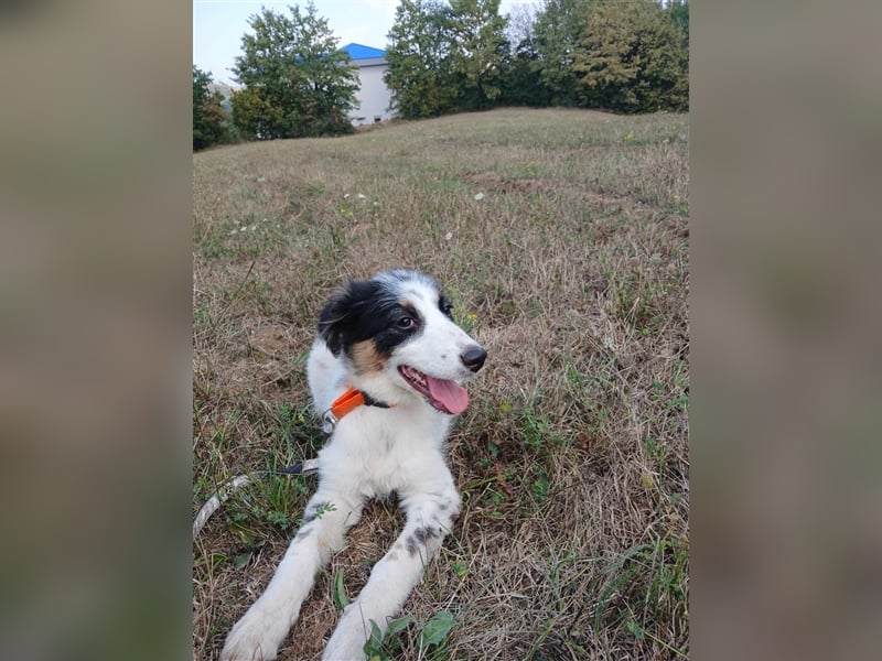 Lisa - zartes Mädchen