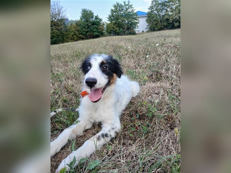 Lisa - zartes Mädchen