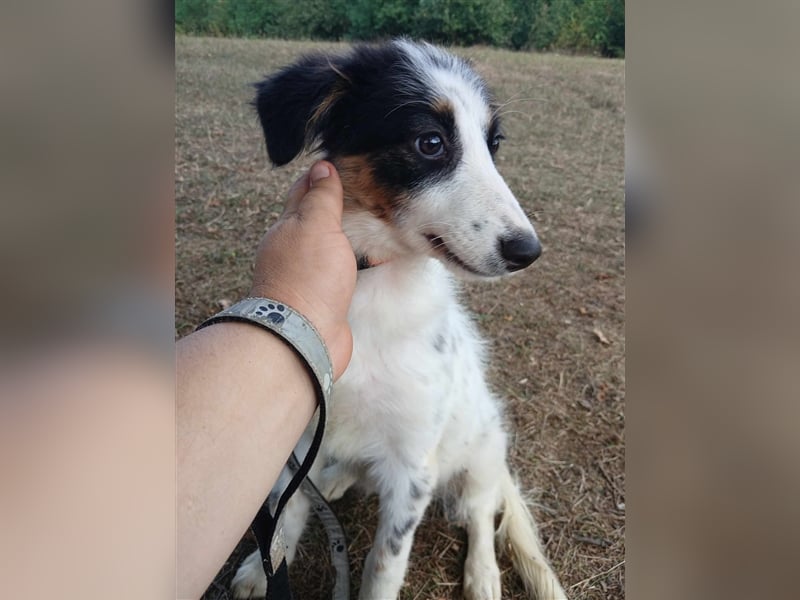 Lisa - zartes Mädchen