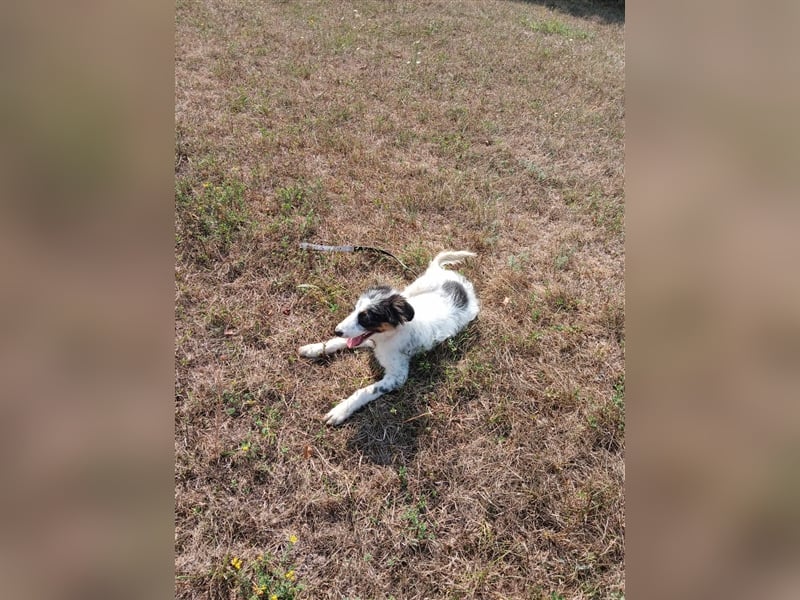 Lisa - zartes Mädchen