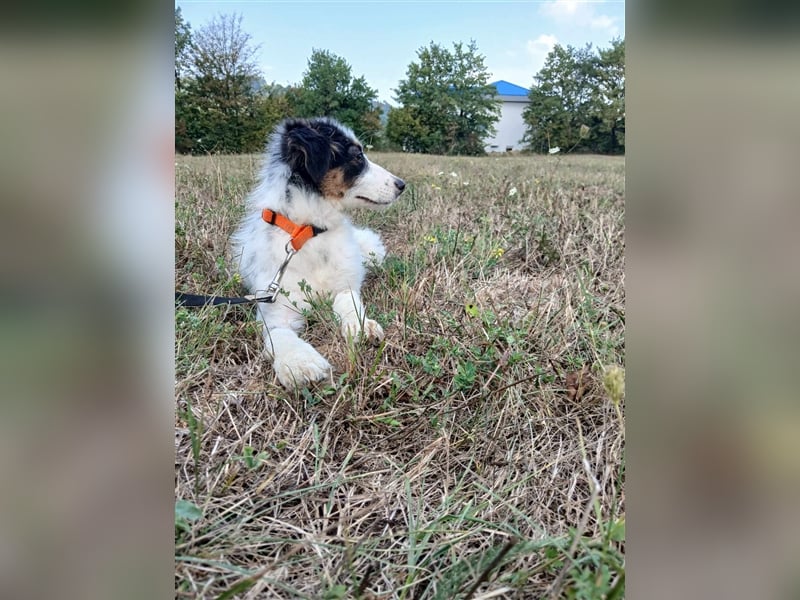 Lisa - zartes Mädchen