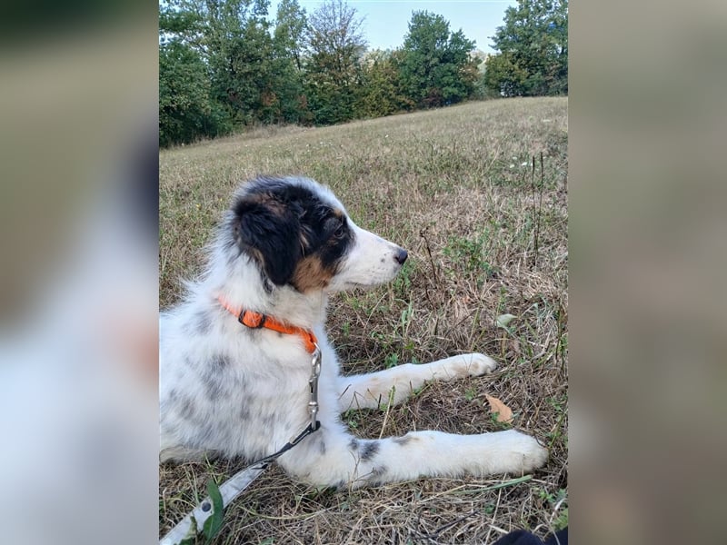 Lisa - zartes Mädchen