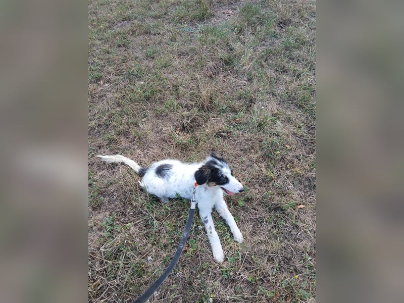 Lisa - zartes Mädchen