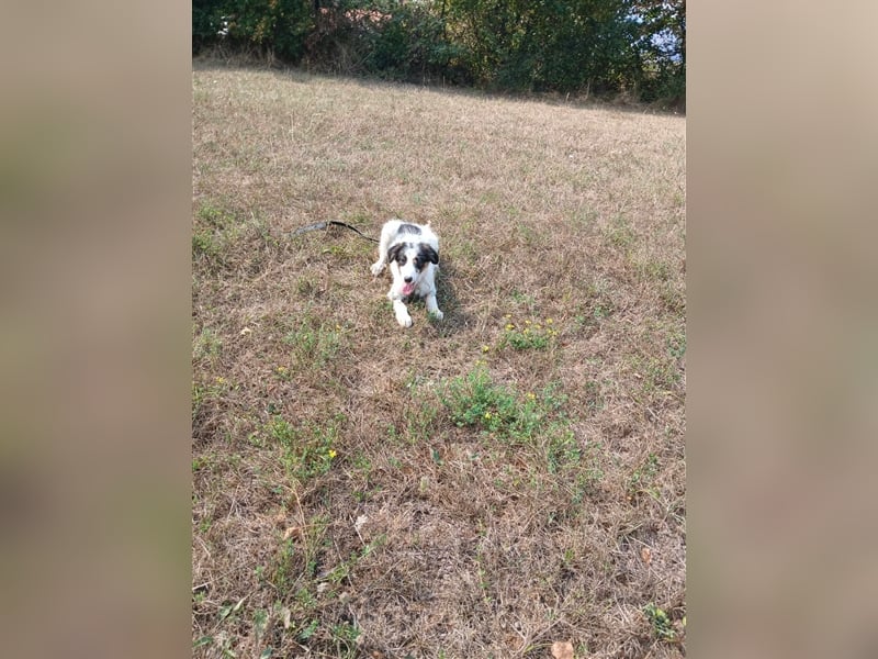 Lisa - zartes Mädchen